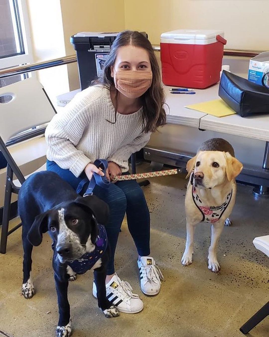 On this beautiful day, we’d like to congratulate Vinnie and Braden on finding their forever homes! 

<a target='_blank' href='https://www.instagram.com/explore/tags/orphanannierescue/'>#orphanannierescue</a>